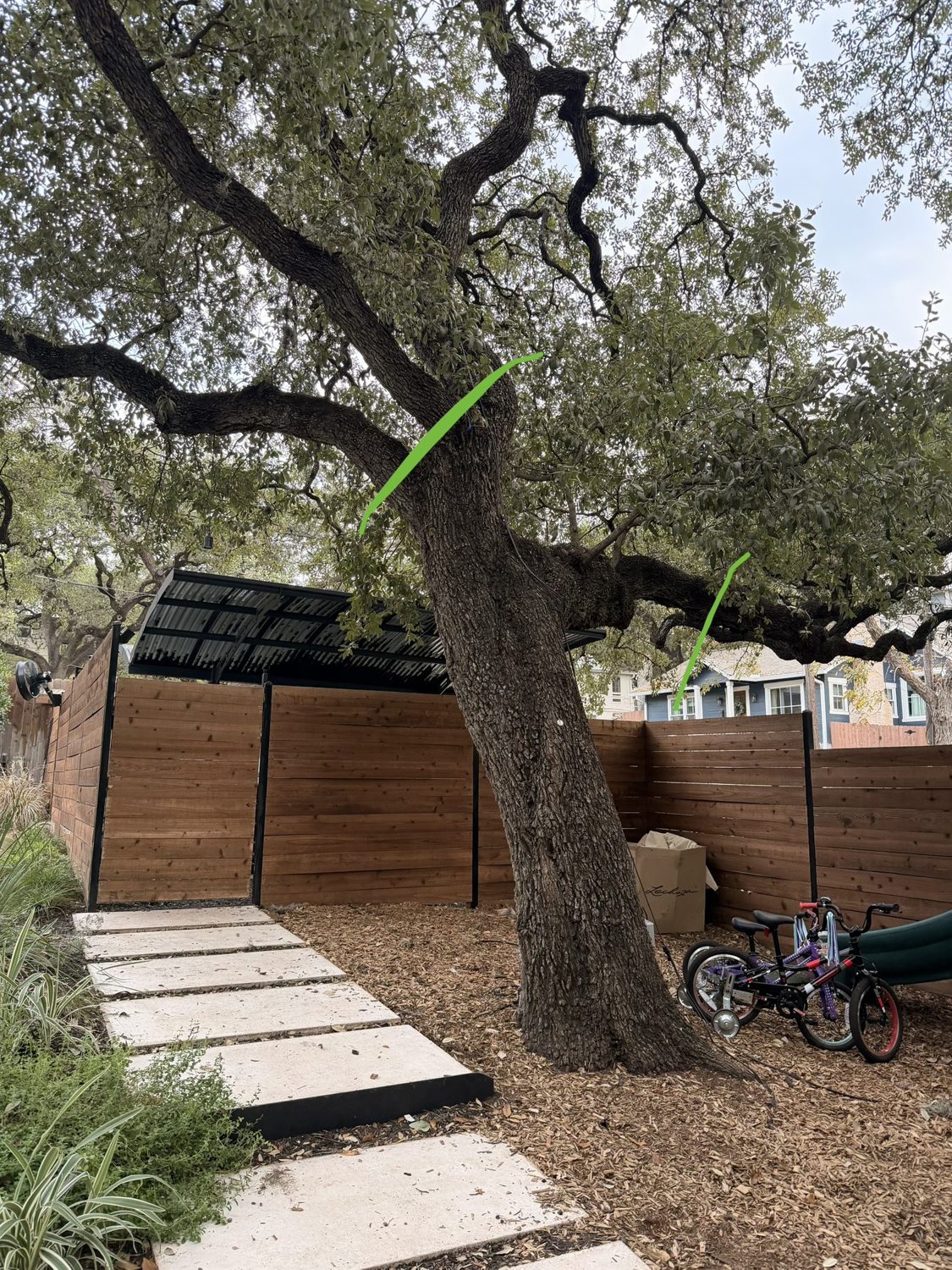 Quote photo of a large backyard oak, trunk only: $500 to $1,000.