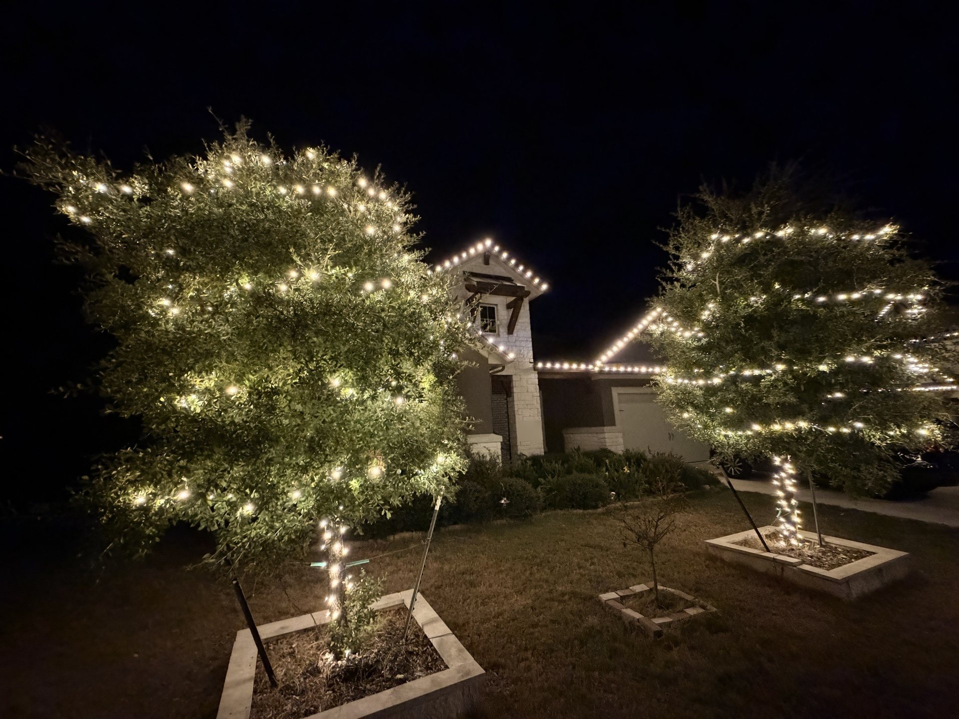 Home at night with warm white lights along the roofline and two small front-yard trees with their leafy canopies lightly wrapped in lights.