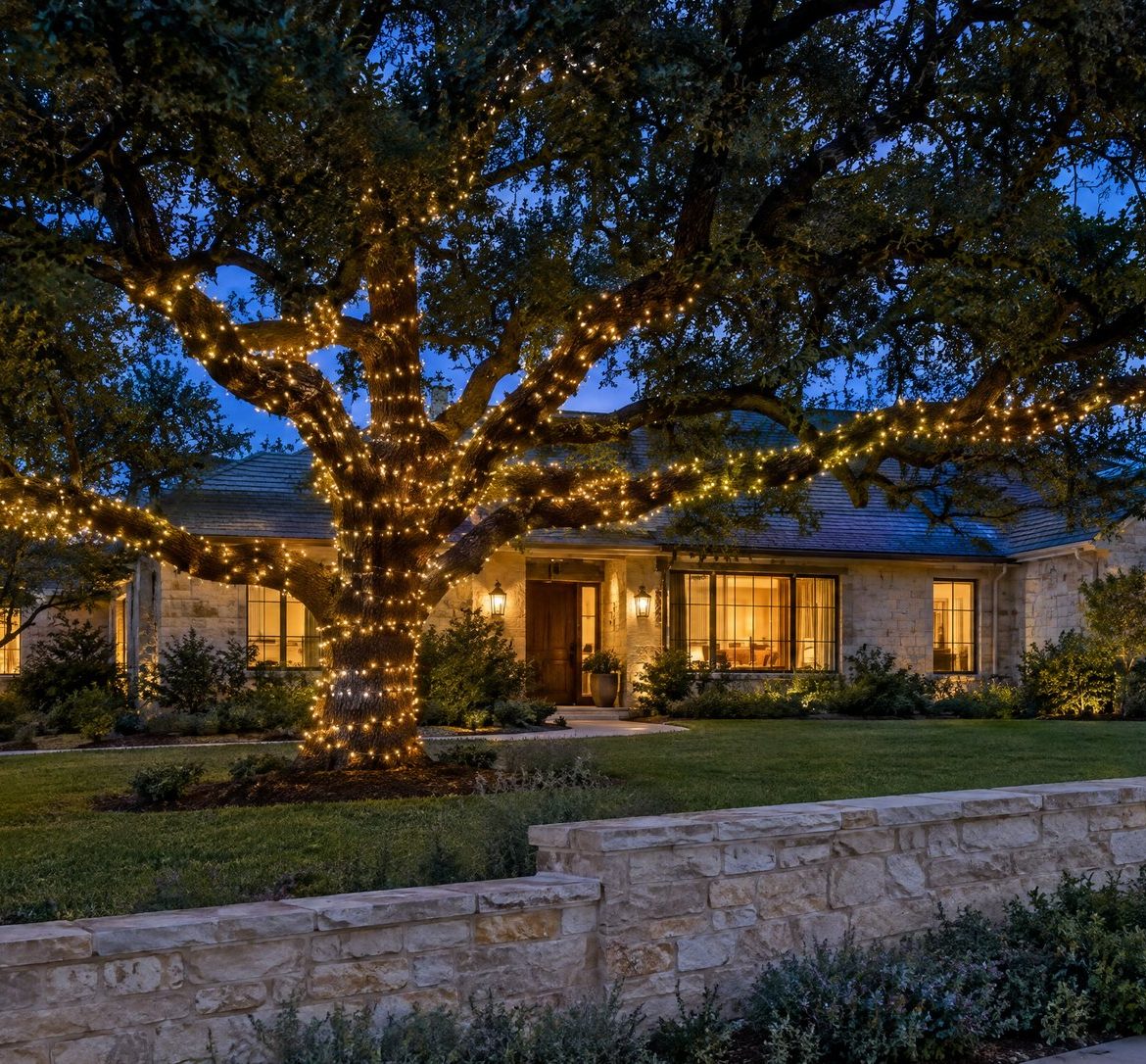 Christmas Lights on Live Oak Trees: How to Light Austin's Signature Tree Live oak at blue hour with its trunk and long limbs wrapped in warm white lights and the crown left dark.