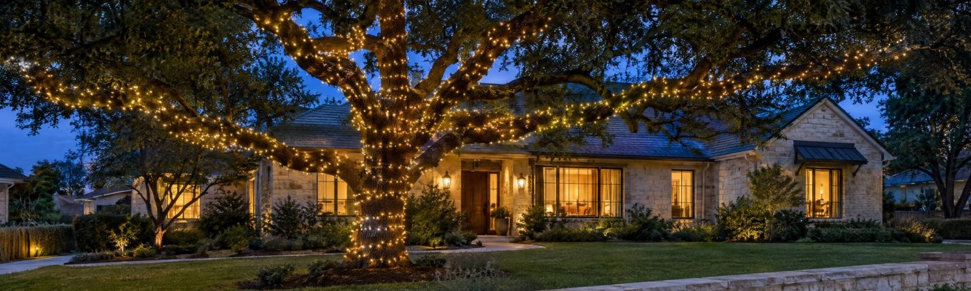 Live oak at blue hour with its trunk and long limbs wrapped in warm white lights and the crown left dark.