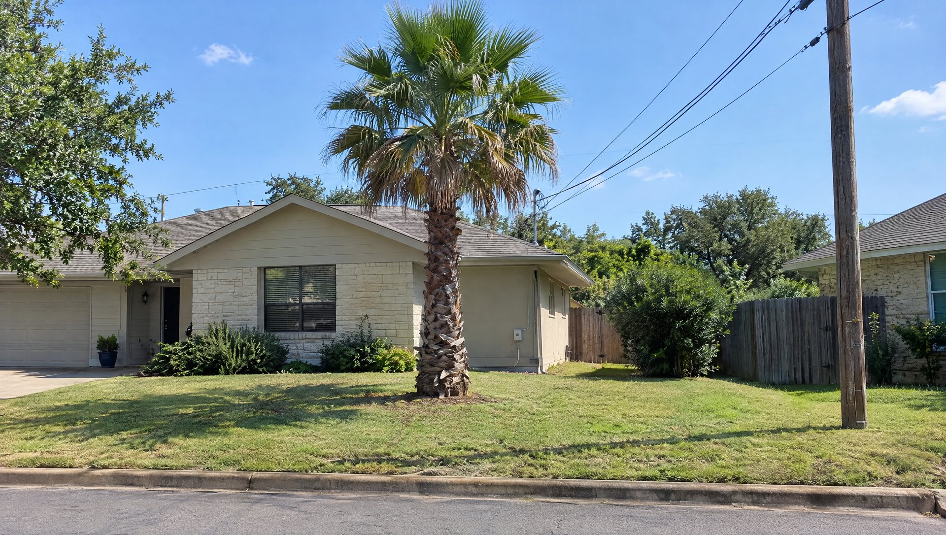 Daytime front-yard palm with the house outlet and overhead lines visible, the photo to send for a lighting quote