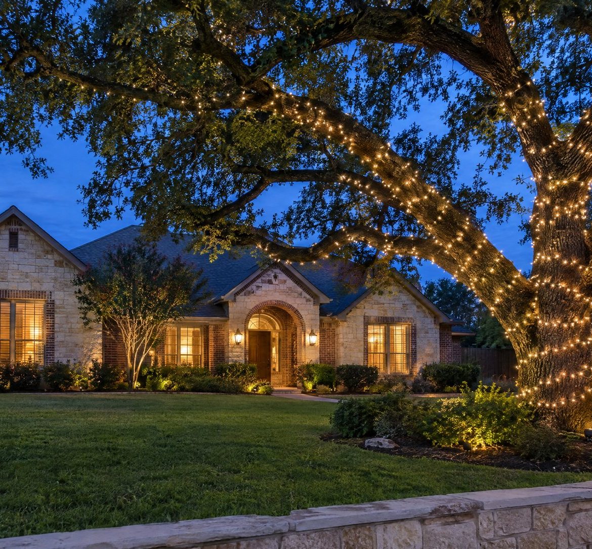 Large live oak at blue hour with its trunk and main limbs wrapped in warm white lights in front of a limestone home.