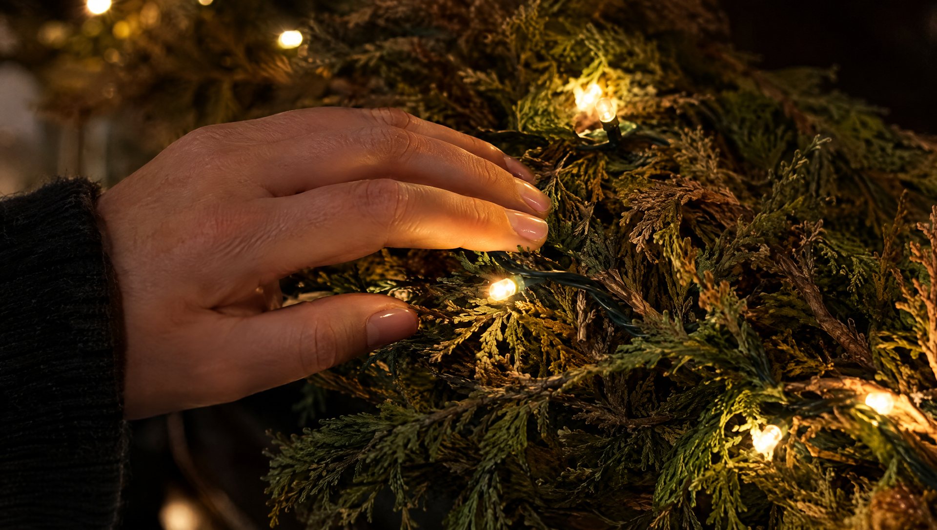 Hand touching cool-running LED Christmas lights in dry garland