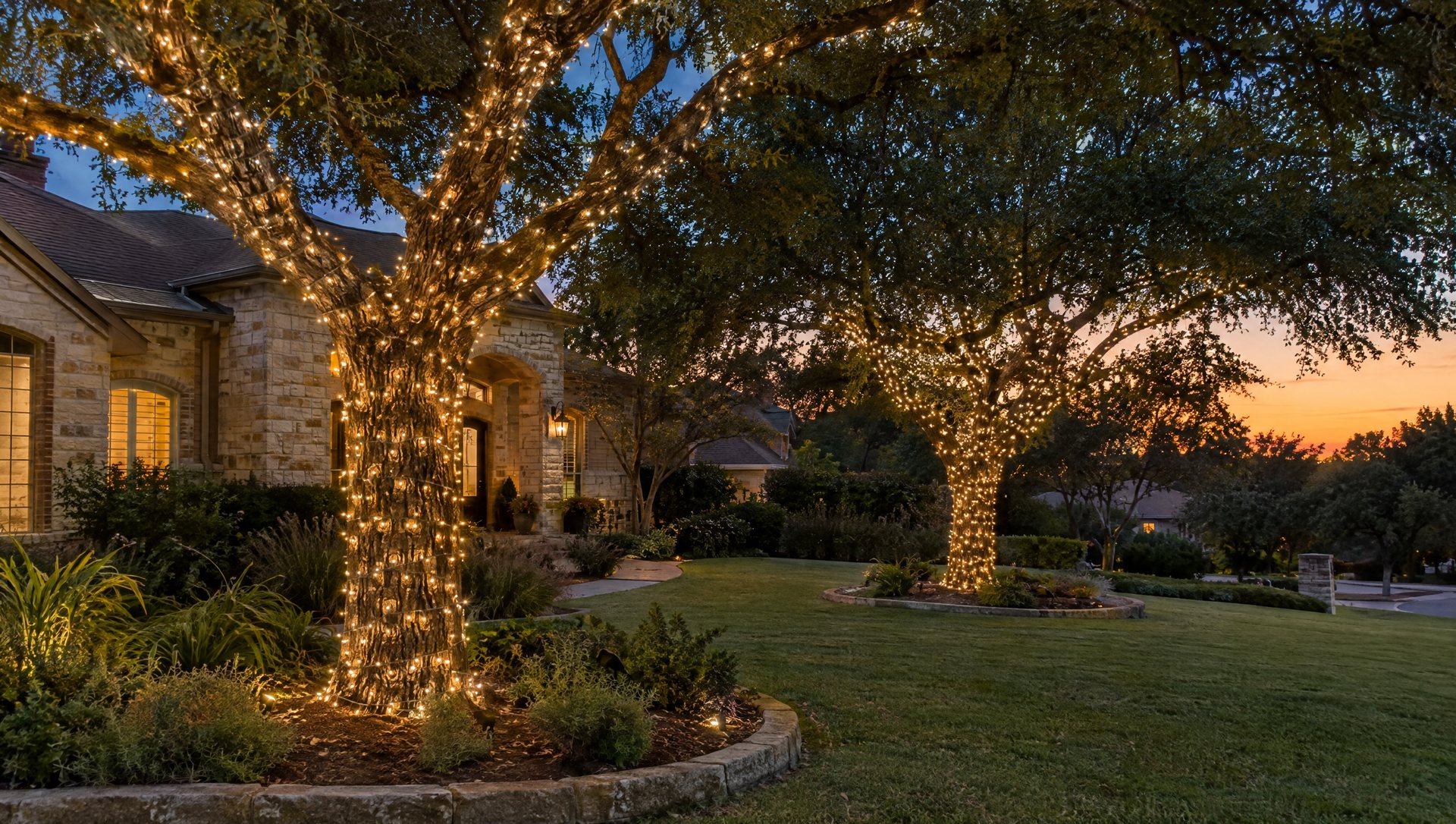 Tree trunks and limbs wrapped in warm-white LED Christmas lights at dusk