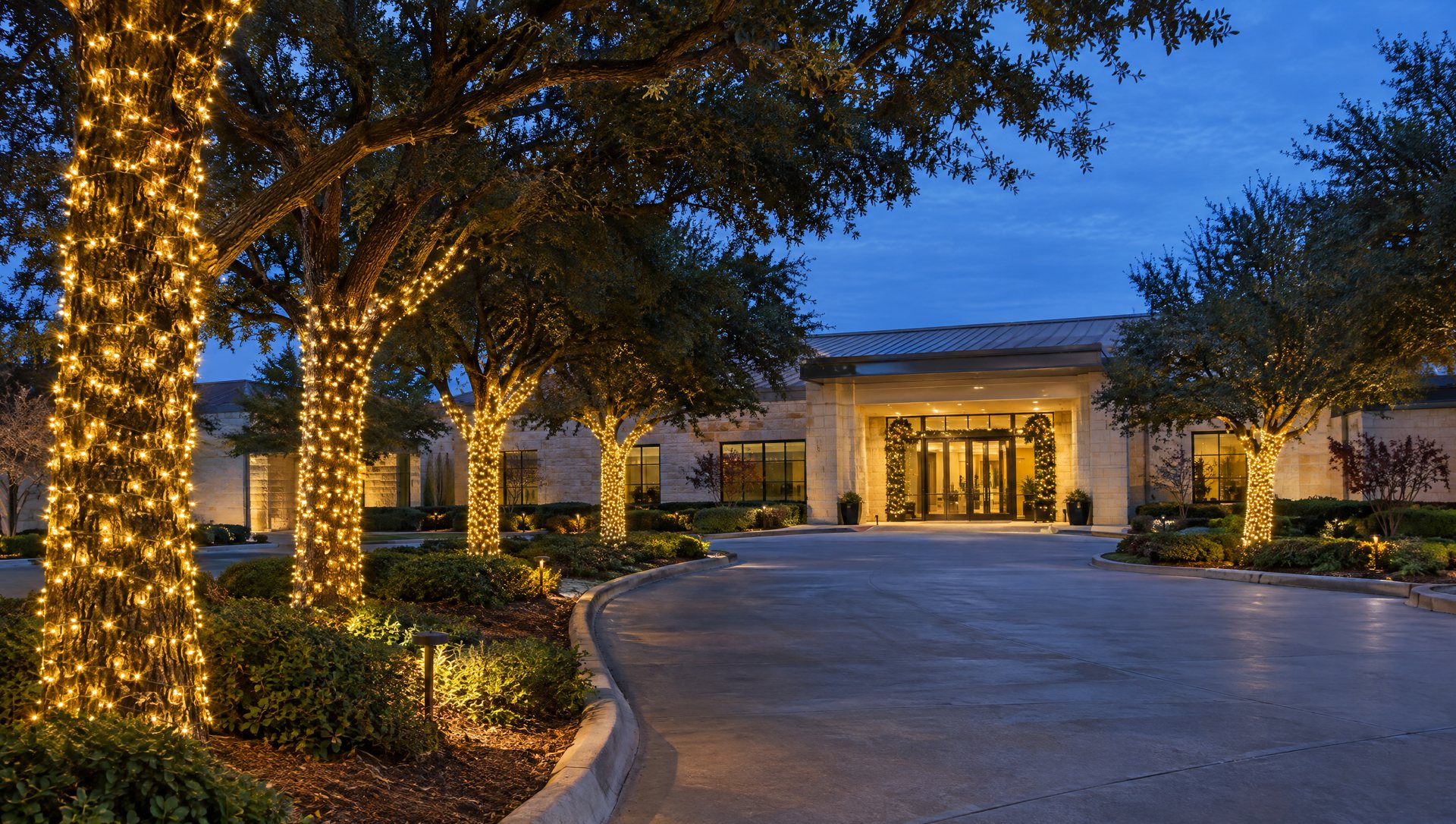Office driveway lined with Christmas-light-wrapped tree trunks leading to the entrance at dusk