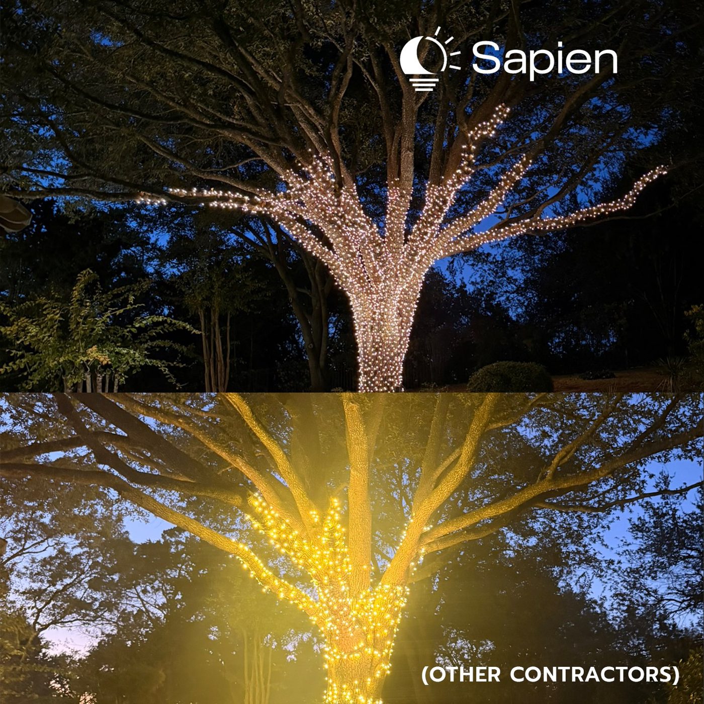 A Sapien wrap (top) next to a wrap by other contractors (bottom). Even spacing all the way out the limbs is what you see from the street.