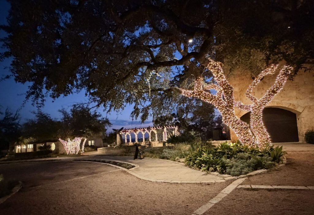 Large live oak wrapped trunk to branches in warm white lights beside a lit driveway