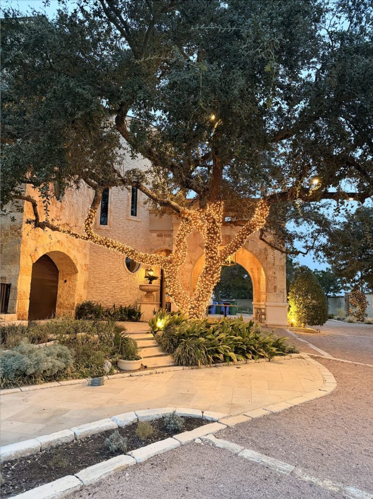 Courtyard oak wrapped in warm white lights next to a stone archway