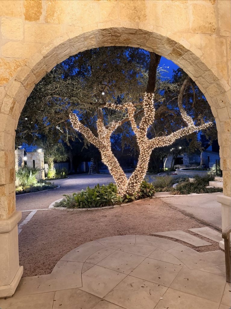 Wrapped oak framed by a stone archway at night