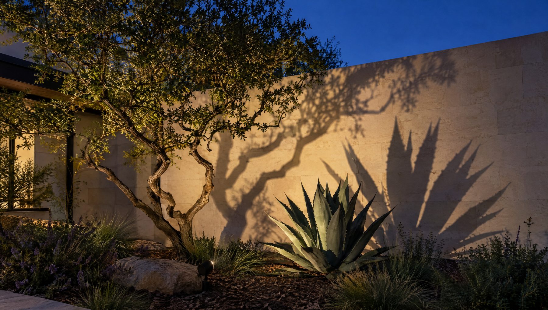 Illustration: one low, shielded light casting an agave's shadow on a limestone wall. In Bee Cave we confirm the rules for your lot before designing.