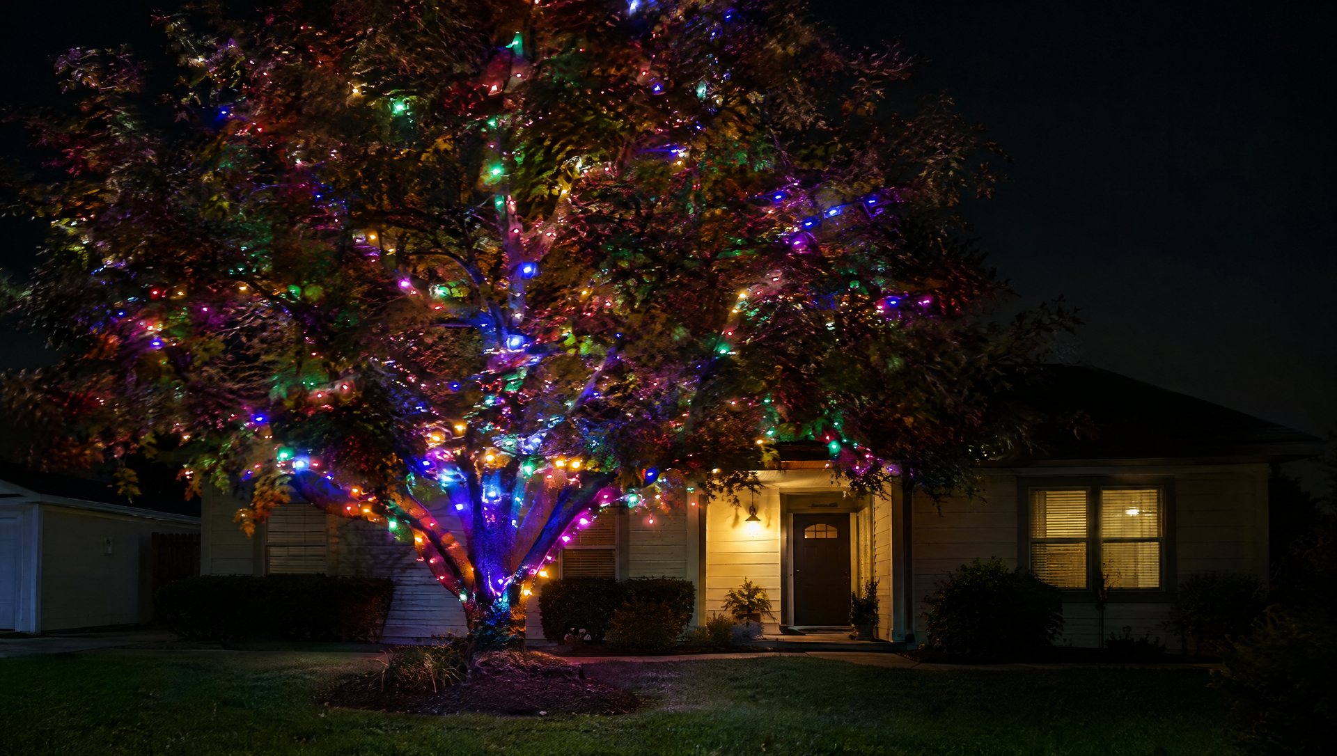 Front-yard tree with sound-reactive smart Christmas lights pulsing at night